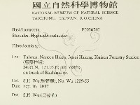 登錄號:F0026740藏品圖，第2張