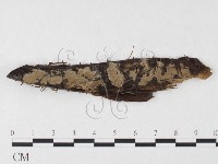 登錄號:F0026742藏品圖，第1張