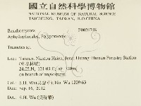 栓菌屬藏品圖，第2張