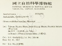 登錄號:F0026751藏品圖，第2張