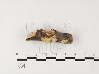 登錄號:F0026751藏品圖，第3張
