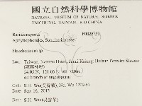 齒耳菌屬藏品圖，第2張