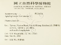 顯絲菌屬藏品圖，第2張