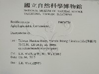 登錄號:F0026756藏品圖，第2張
