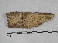 登錄號:F0026756藏品圖，第1張