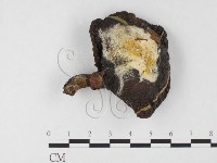 登錄號:F0026759藏品圖，第3張