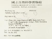 絲齒菌屬藏品圖，第2張