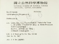 骨皮菌屬藏品圖，第2張