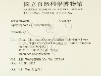 栓菌屬藏品圖，第2張