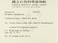 登錄號:F0026772藏品圖，第2張