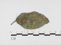 登錄號:F0026772藏品圖，第1張