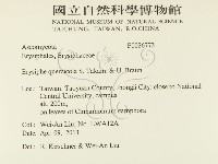 登錄號:F0026773藏品圖，第2張