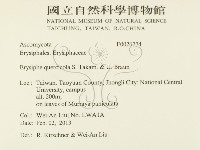 登錄號:F0026774藏品圖，第2張