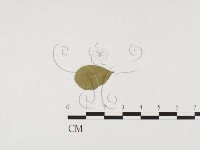 登錄號:F0026774藏品圖，第1張