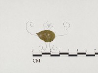 登錄號:F0026774藏品圖，第3張