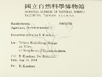 登錄號:F0026780藏品圖，第2張