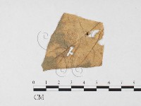 登錄號:F0026780藏品圖，第1張