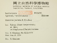 登錄號:F0026781藏品圖，第2張