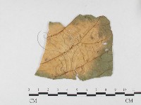 登錄號:F0026781藏品圖，第3張