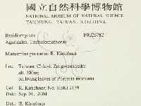 登錄號:F0026782藏品圖，第2張