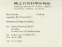 登錄號:F0026784藏品圖，第2張