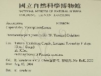 登錄號:F0026789藏品圖，第2張