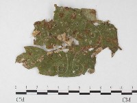 登錄號:F0026789藏品圖，第3張