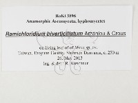 登錄號:F0026790藏品圖，第3張