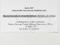 登錄號:F0026791藏品圖，第3張