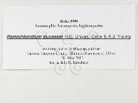 登錄號:F0026792藏品圖，第3張