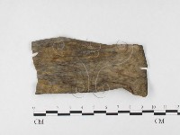 登錄號:F0026792藏品圖，第4張