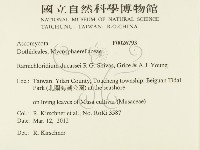 登錄號:F0026793藏品圖，第2張