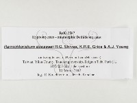 登錄號:F0026793藏品圖，第3張