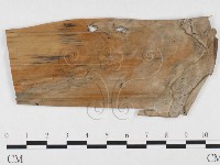 登錄號:F0026793藏品圖，第4張