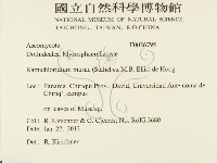 登錄號:F0026795藏品圖，第2張