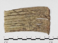 登錄號:F0026795藏品圖，第4張