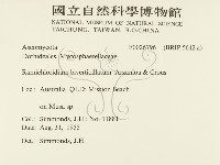 登錄號:F0026796藏品圖，第2張