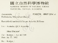 登錄號:F0026798藏品圖，第2張