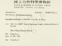 登錄號:F0026801藏品圖，第2張