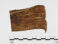 登錄號:F0026803藏品圖，第3張