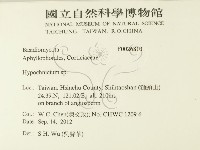 登錄號:F0026810藏品圖，第2張
