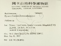 木層孔菌屬藏品圖，第2張