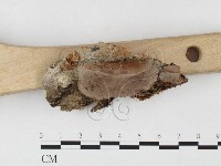 登錄號:F0026815藏品圖，第3張