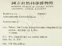 革墊菌屬藏品圖，第2張