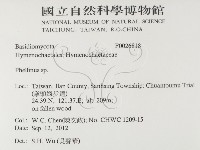 木層孔菌屬藏品圖，第2張