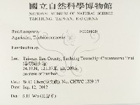 登錄號:F0026820藏品圖，第2張