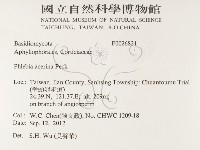 登錄號:F0026821藏品圖，第2張