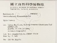 登錄號:F0026822藏品圖，第2張