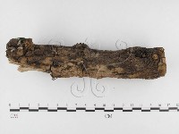 登錄號:F0026822藏品圖，第3張