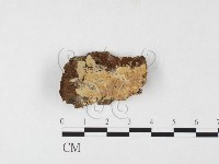 登錄號:F0026825藏品圖，第1張